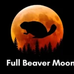 Beaver moon meaning