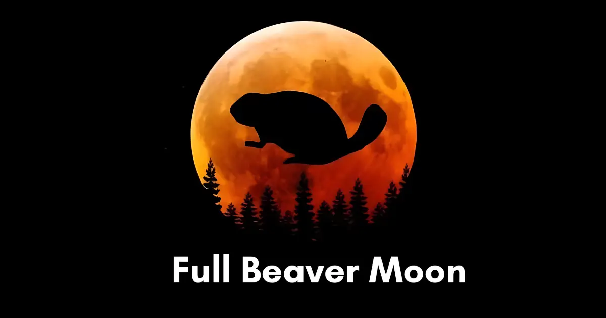 Beaver moon meaning