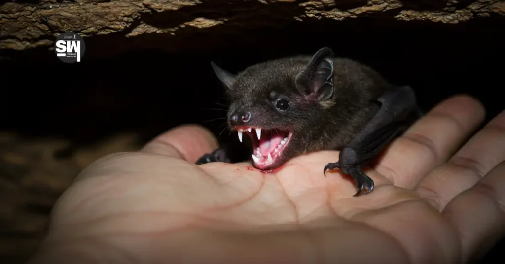 Why Did a Bat Bite My Hand in My Dream? The Surprising Truth! 2 dream of bat biting my hand