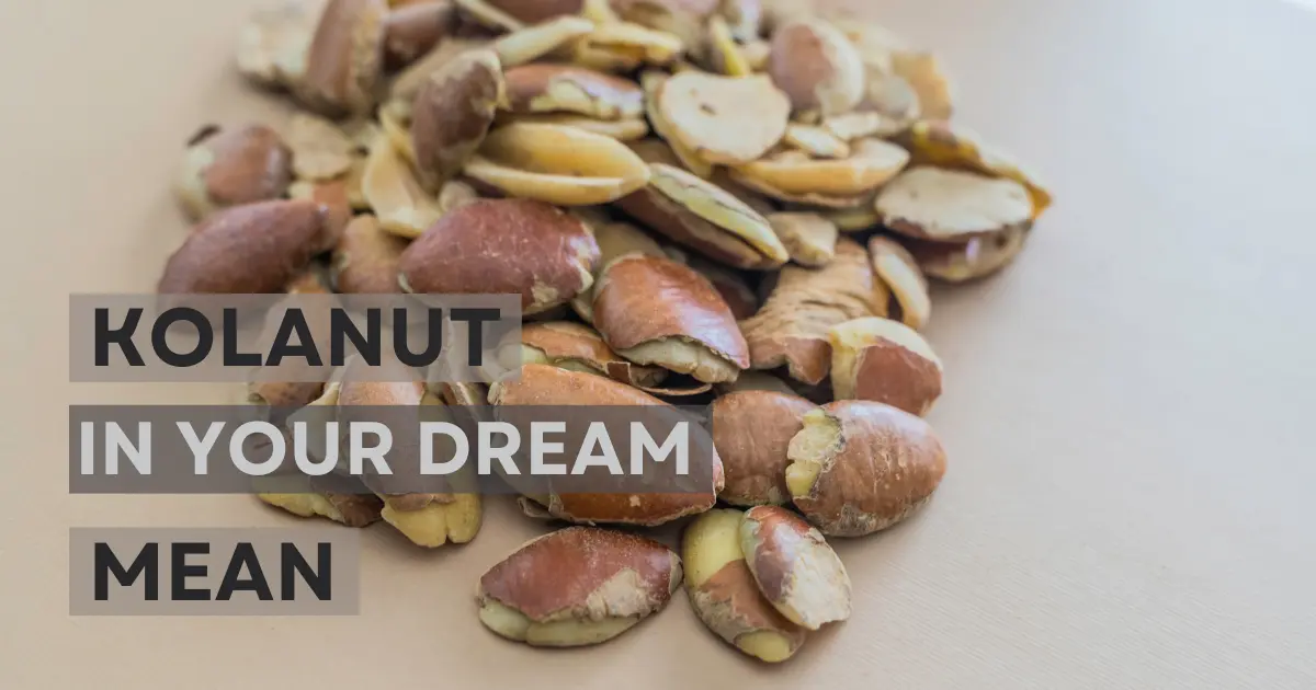 Dream of kolanut