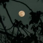 Beaver moon spiritual meaning