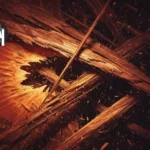 dream meanings splinters
